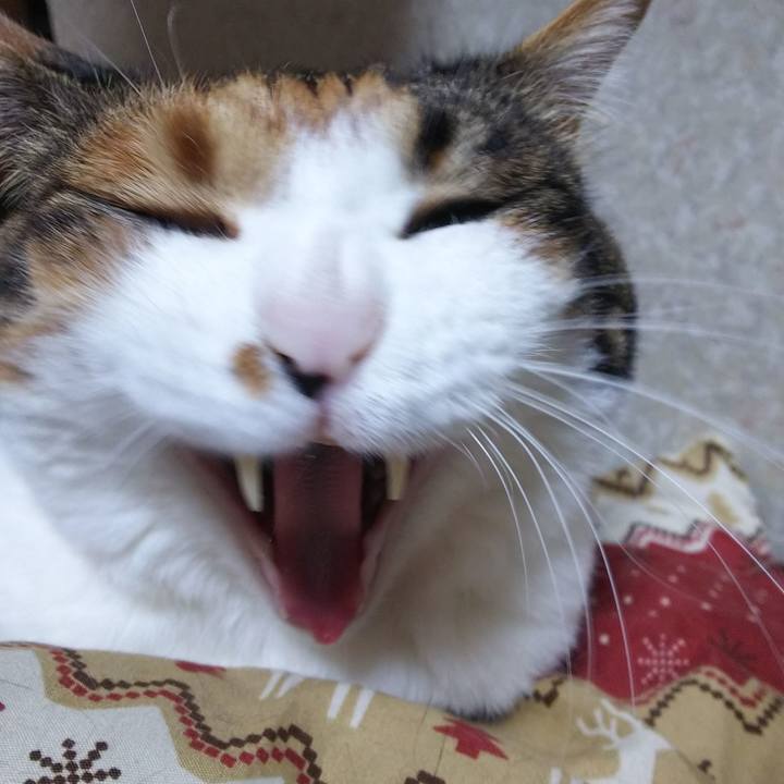 829cf031 4e3a 48de 8dce 2be0bde7ab79 1548102939114