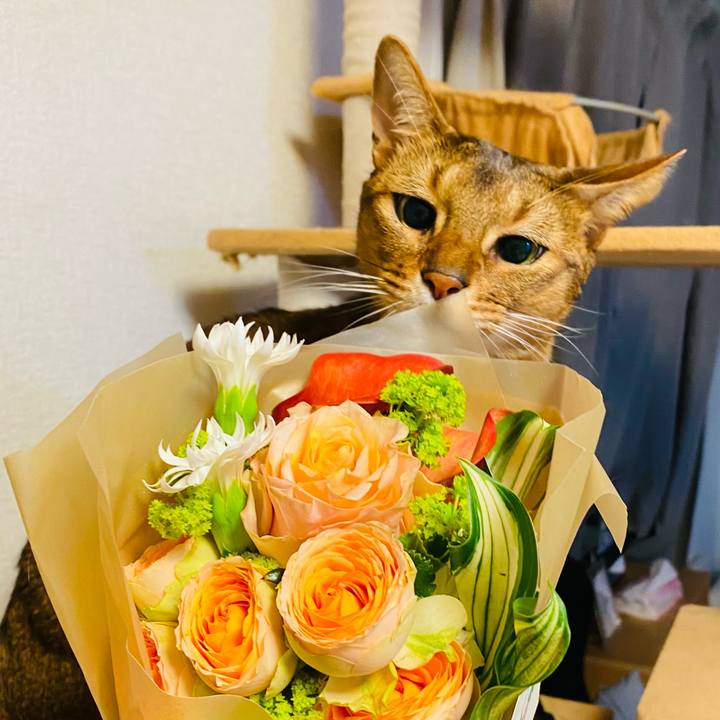 829d1e5e 7a21 410e bc44 c1ef2704ce70 1764062781772