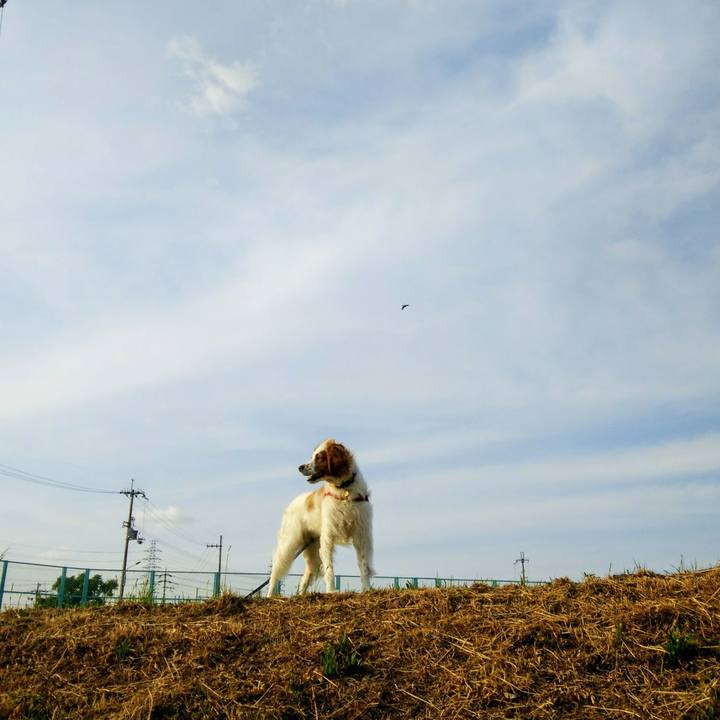 829d3cfd 9867 456a bfe6 e101a6bb2deb 1558093046759