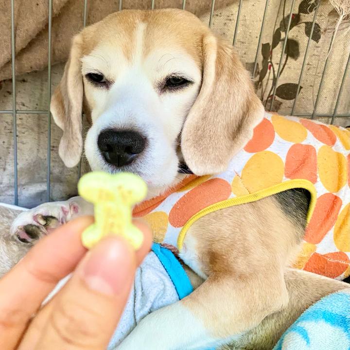 829d3e00 9b08 4b61 9e55 77578128eb12 1774341649977