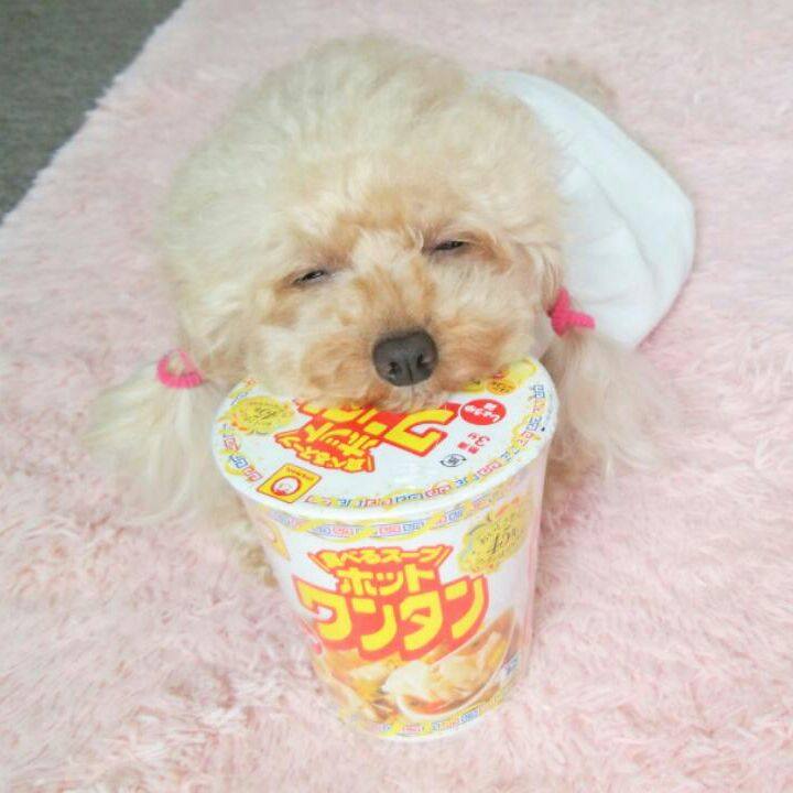 829d3e46 7a6c 44fe 9952 67ff71faa085 1538651033017