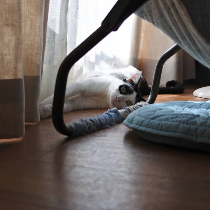 829d4a36 217d 4222 a56d ca81c50db5da 1533620591148