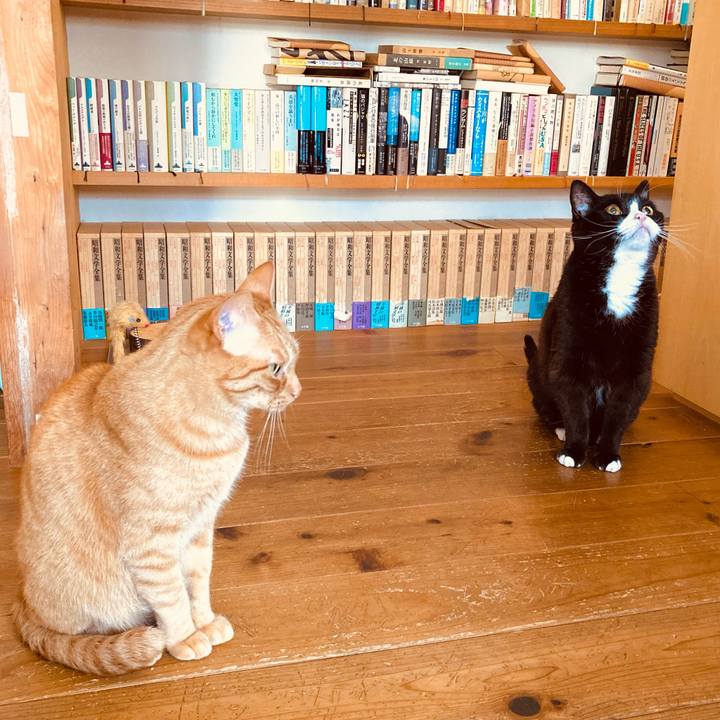 829d5beb 8192 46c1 8a9f 444b3963c10c 1620431367155