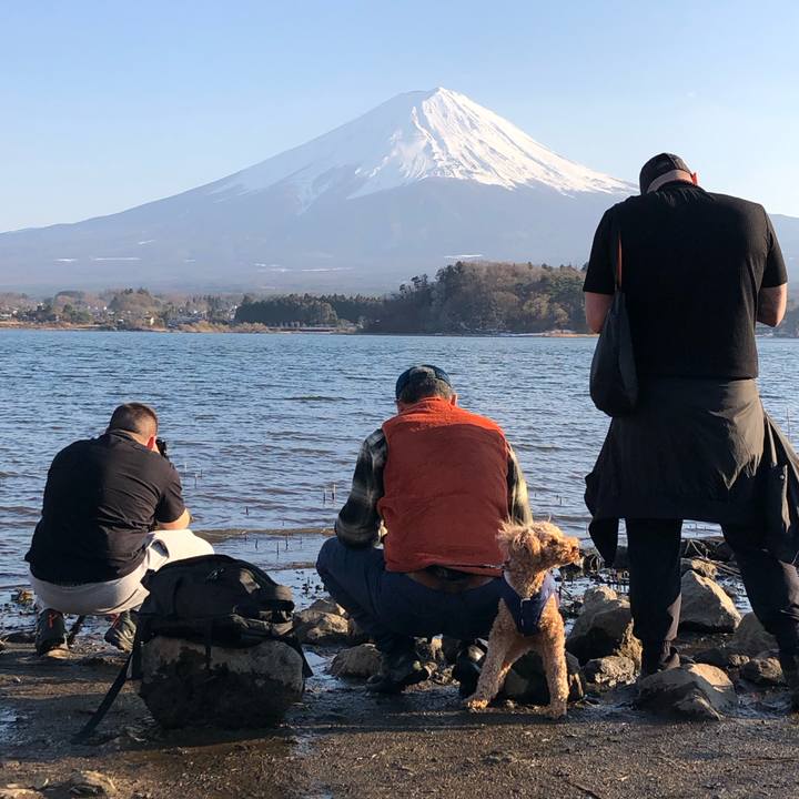 829d9f38 9245 4cf7 87a7 a36ca99ec91b 1772113440982