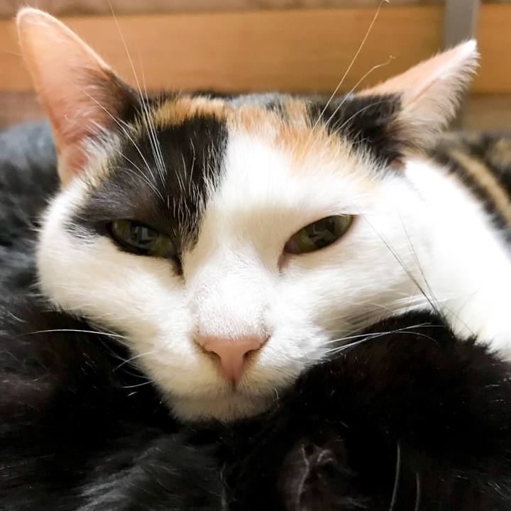 829dbc1f f56e 4c28 8eed 2d89ca2b320f 1517448728680