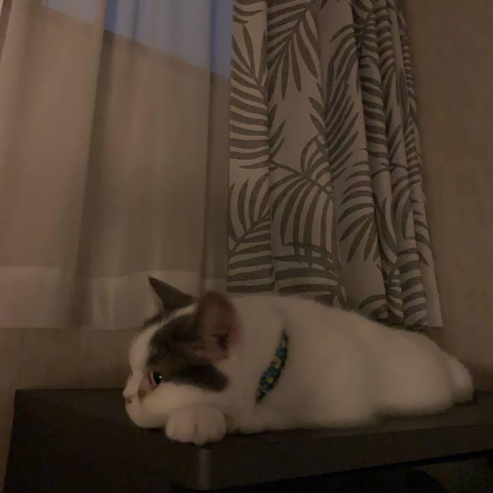 829de70d 2948 4657 8b3a f7d3846070cf 1689504784445