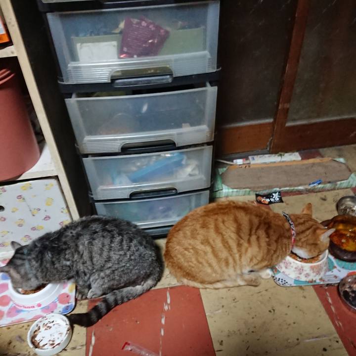 829e0057 7aa2 4078 83ce b793a905937b 1574887135462