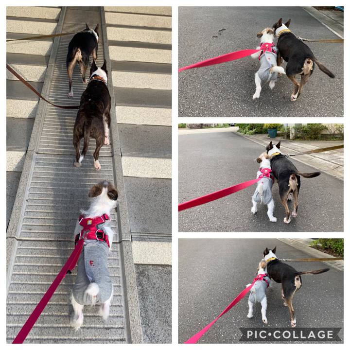 829e2a7b 17b1 46d0 8440 a2487a937d5d 1569236027302