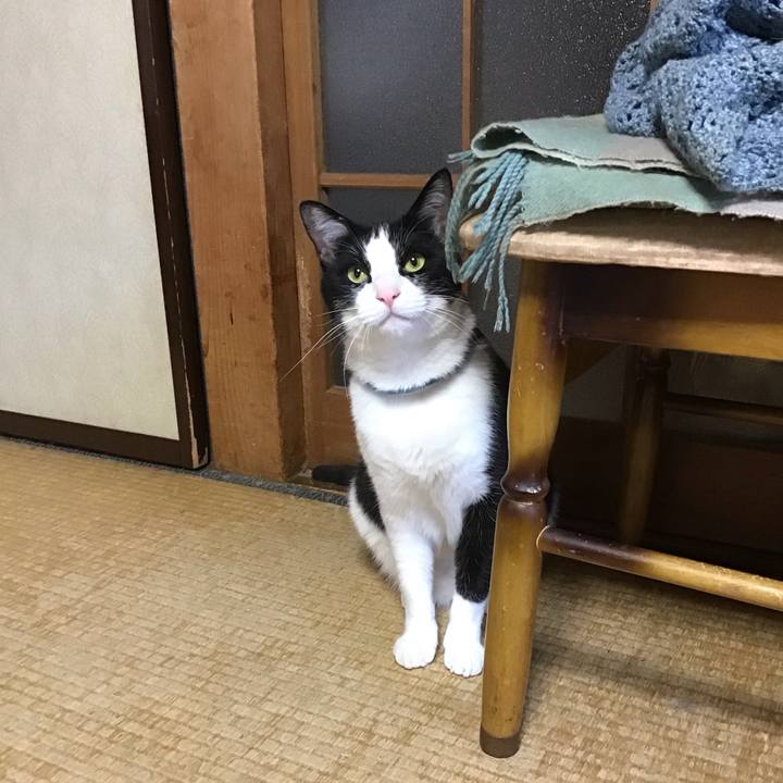 829ed1fd 69c4 473c ade5 a485f17b11af 1684232085540