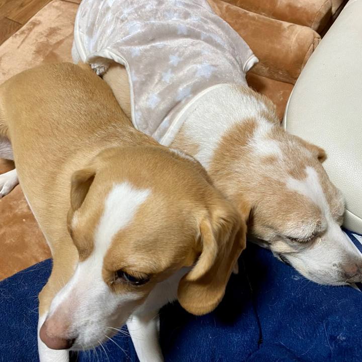 829ed916 b62e 457e b60a 4f01360722ea 1604715039074