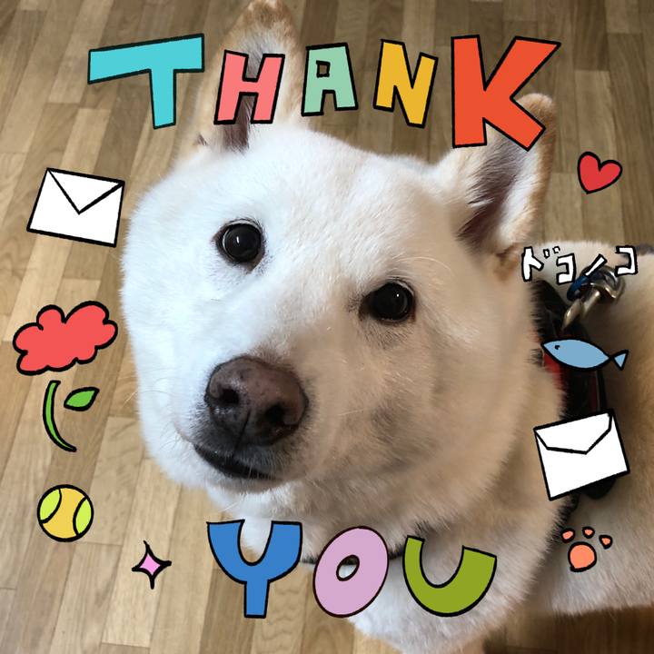 829eddb8 395c 485d bb1d 6b17bcf98a31 1715088567095