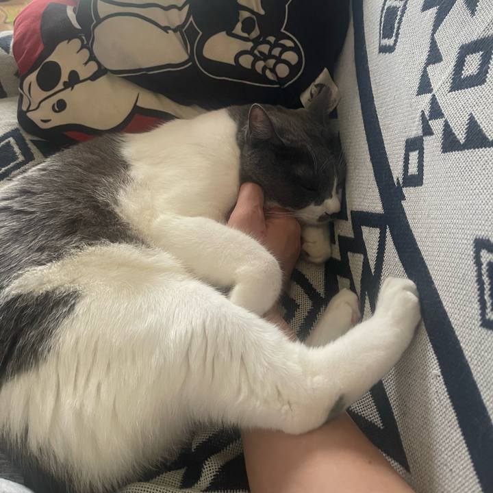 829efd4e 5548 4180 a28f 9458c7211a58 1729060424869