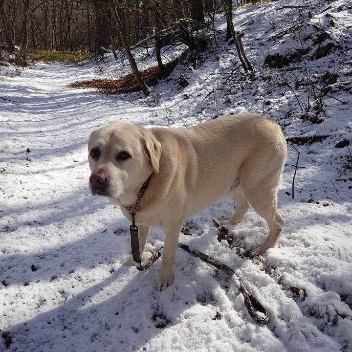 829f1814 b0e0 417f 8370 b662f1710458 1764154212283