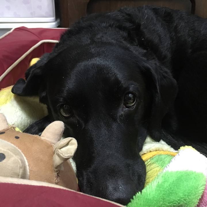 829f19ae d451 42d9 8bb4 cb4ac5f53015 1511401625221