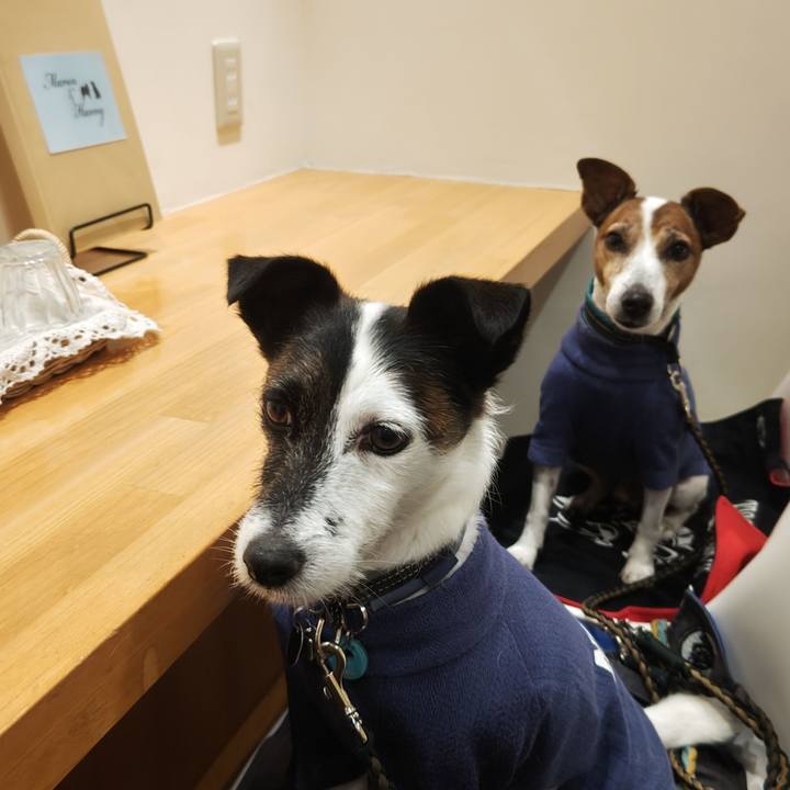 829f3cce ff57 474a 9077 9ae714cee7a9 1761462463173