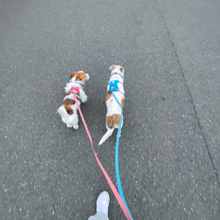 829f3d38 8493 41b0 b364 bc7e12cedad6 1700866431053