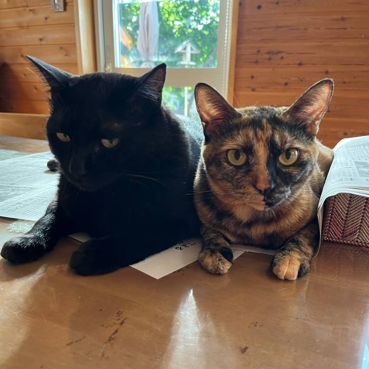 829f6859 6ad9 4fd8 b3b4 9cb8376a88ba 1691708830148