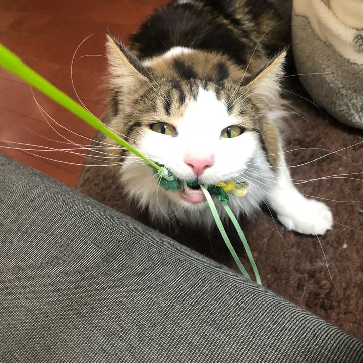 829f79e4 6523 4764 b852 a632695f7c20 1554348694359