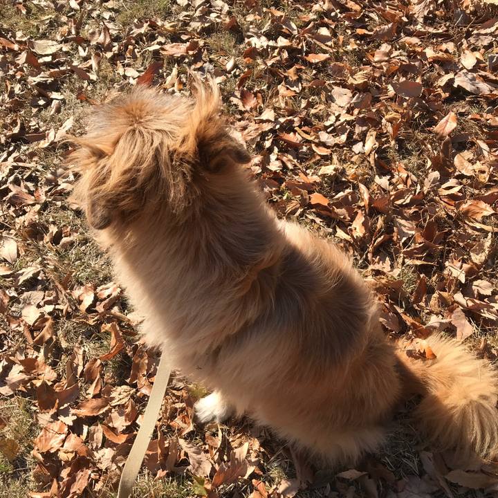 829fa00b 4b54 42b8 9eaf 911003abf6cc 1545101639926