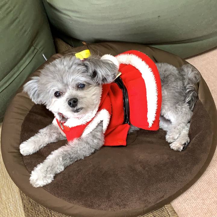 829fa669 17ae 4f9d 9285 8e6e512d31ee 1577241009276