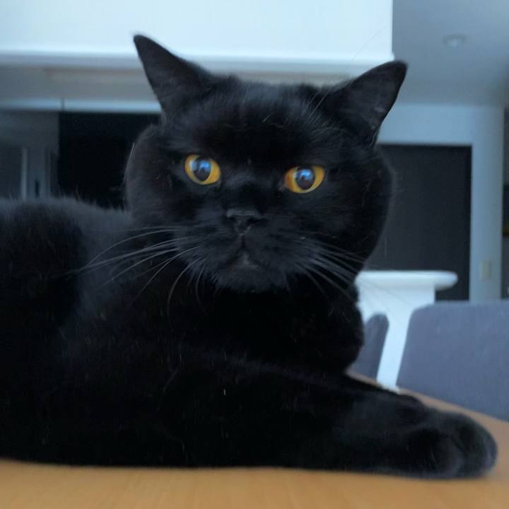 829fa9b7 6015 4bcc 8300 1bcea6b3c60d 1629929942006