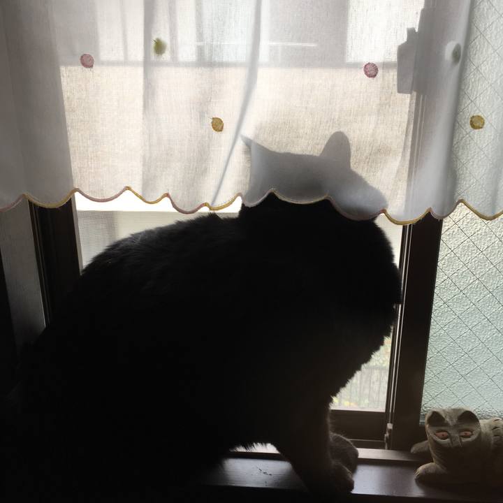 829fdd9d 9c30 41d4 9f85 bb6983c32202 1574563149031