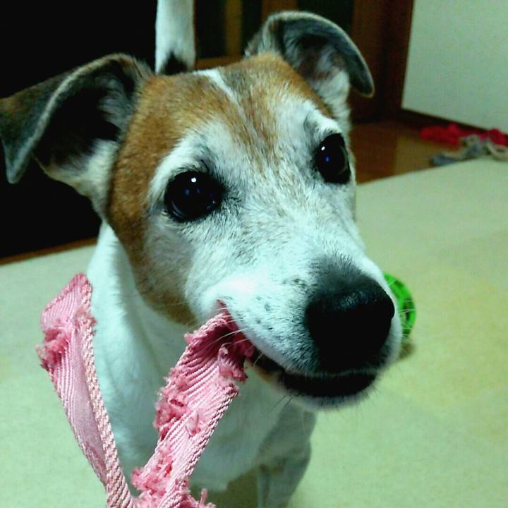 829feb0e e9c4 46e8 89ed a90d6618e71d 1512264189435