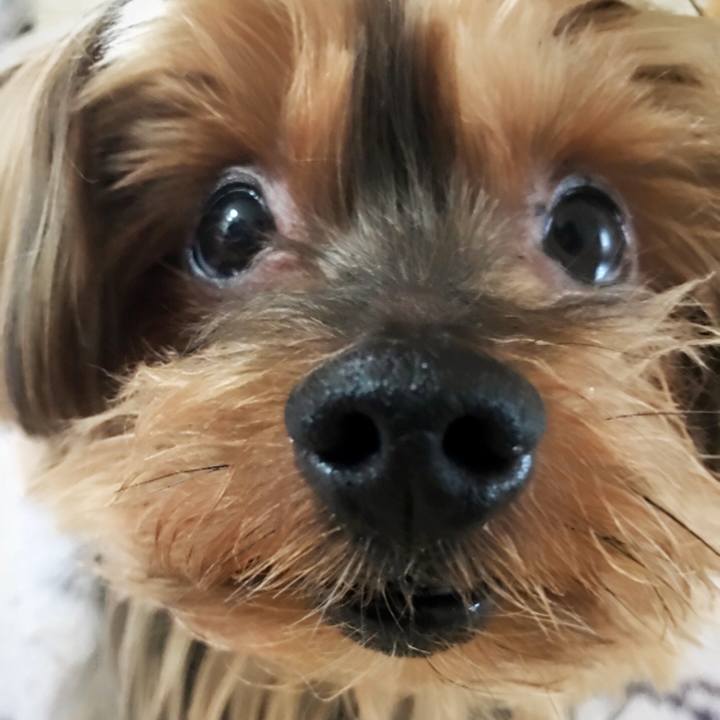 829ff03d 0386 4d9d b86d 4c126478a125 1523676118846