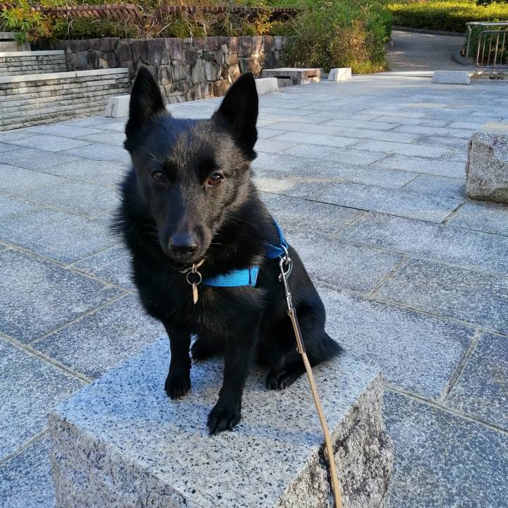 82a0295b 2c79 4acf 9754 7b5332a02e5a 1607126786145