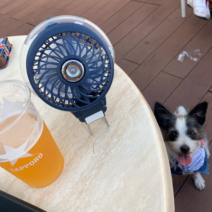 82a0464a a204 47ba a7d3 398a0b564918 1564909396048