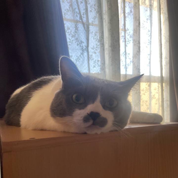 82a0620c d571 40c8 837e 256371c8a31a 1726263706541