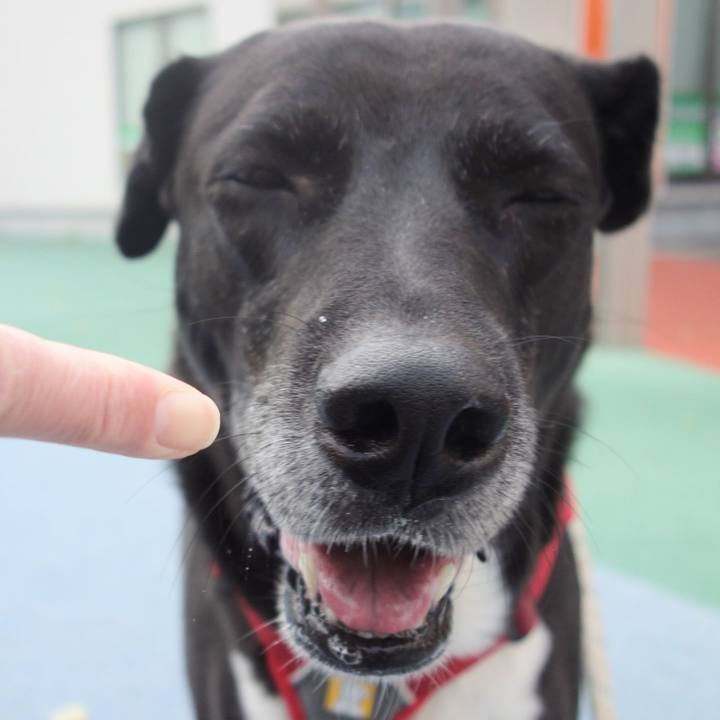 82a08157 667b 4fce 93ca 06df9cfa101f 1668387774138