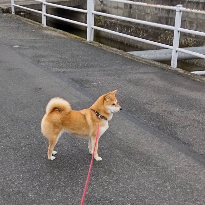 82a0b9ed 69dd 40c6 b1c0 2446745f926e 1739343358779