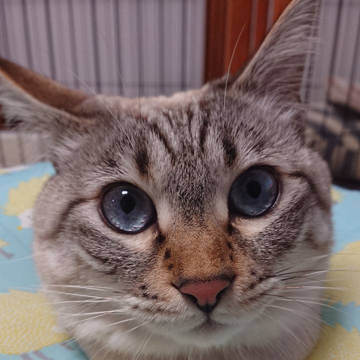 82a0bbac c34d 4364 8aea ad08891aa421 1517064362752