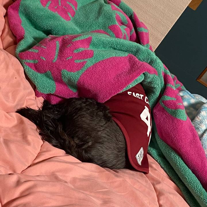 82a0ddfd b8ec 4b2f b1ec e71a7a2b32da 1608309760168