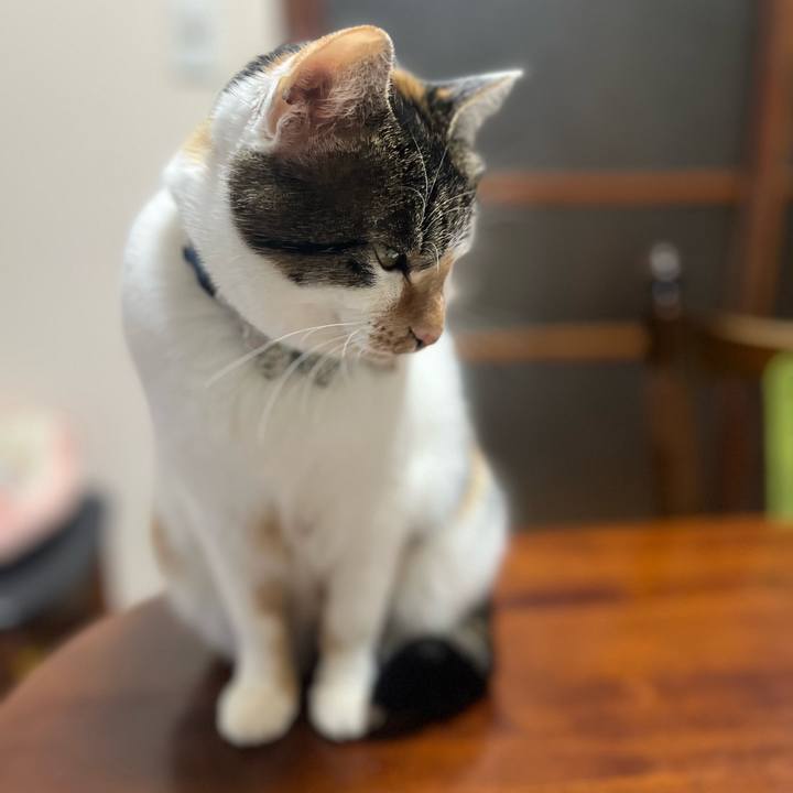 82a15035 bd70 43a3 8830 0fc15fe95cb6 1769081470421