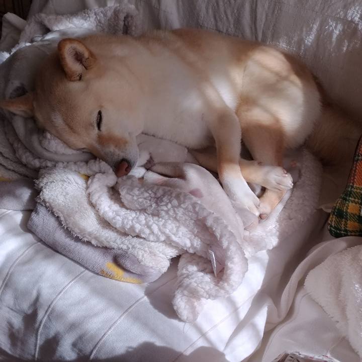 82a15cd6 7c2f 46a7 b2e4 333b5aa200d0 1613612000374