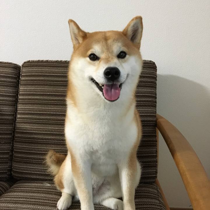 82a170bf 4fee 4179 a3df 5b3807a6df5e 1540172004379