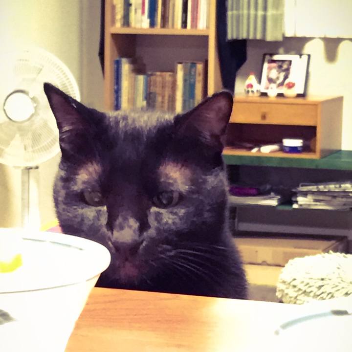 82a18ef3 e03f 438d b033 54ae605d3397 1508587407694