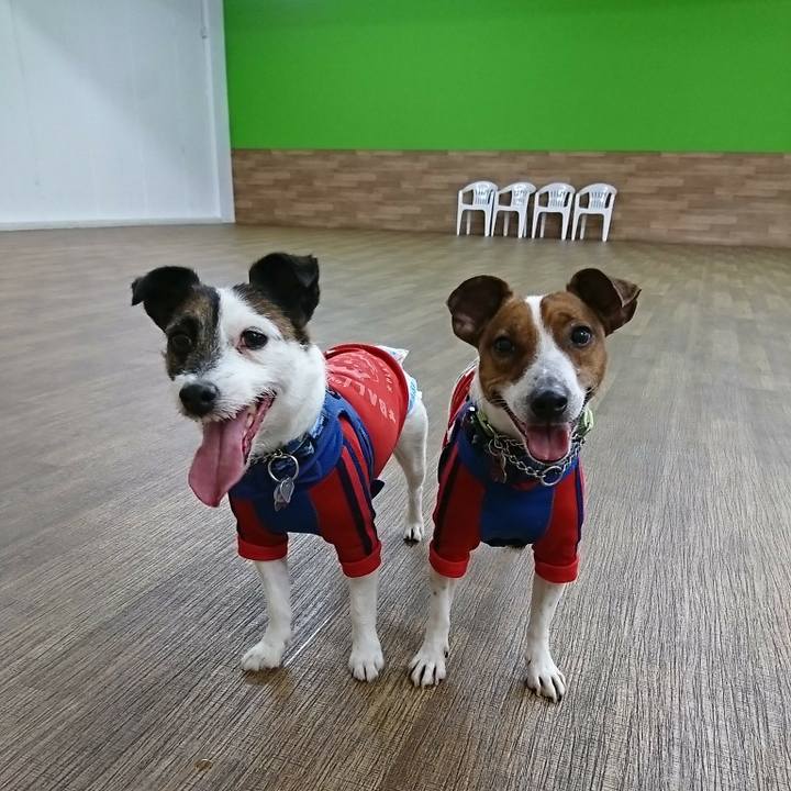 82a19a66 9b69 4c17 bcc0 1f1f78bcd9c5 1582336260782