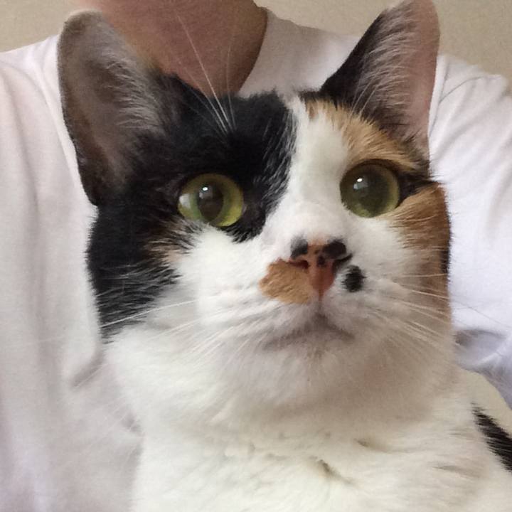 82a1b4bc 4086 44ec b727 d3cfd7c92ca4 1528715204974