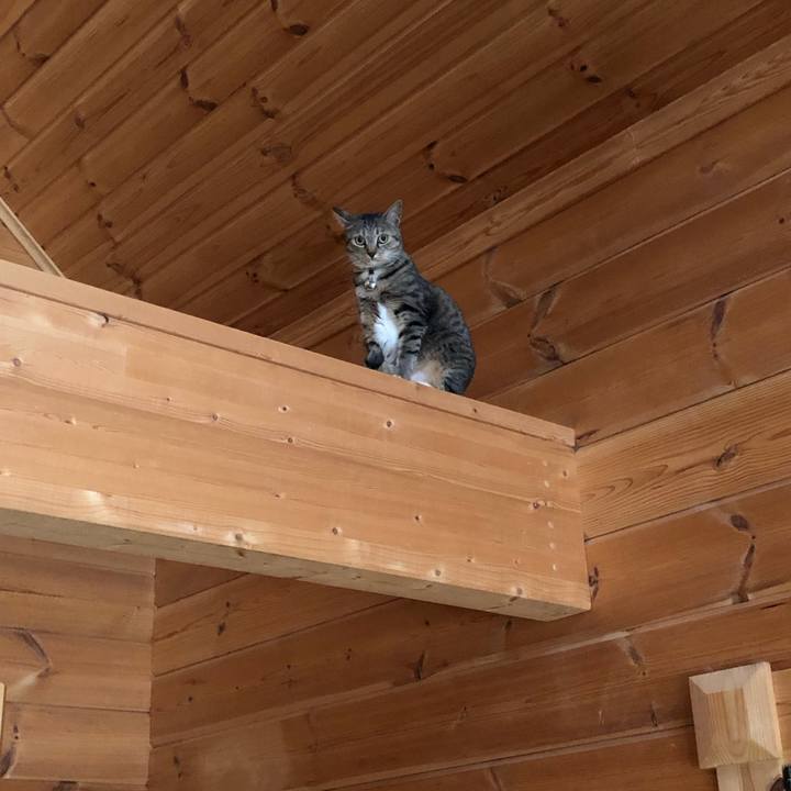 82a1eff9 95fa 4da8 b7a4 9b9a66d282a8 1627169584221