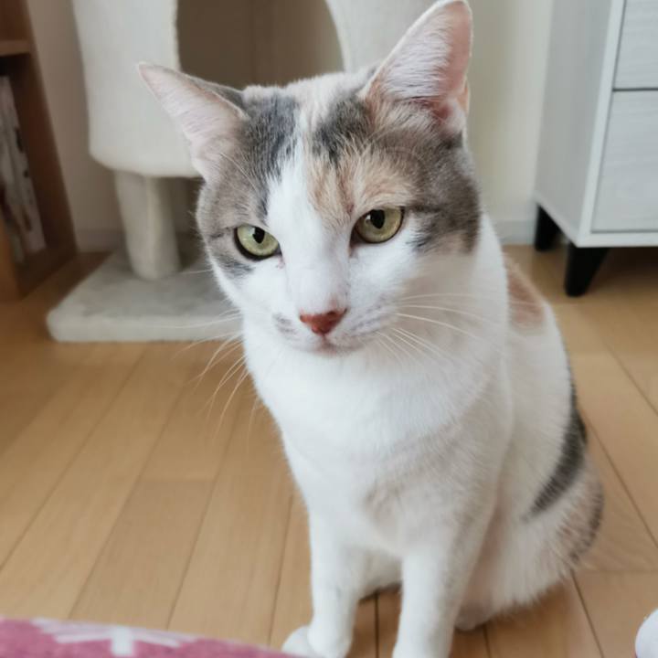 82a242fd 1ef6 43f5 a764 3034f15911d4 1650180363580