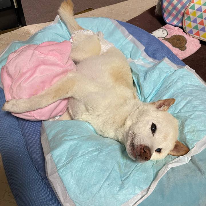 82a24430 716d 4dba b06b e8dabb103a81 1675694450425