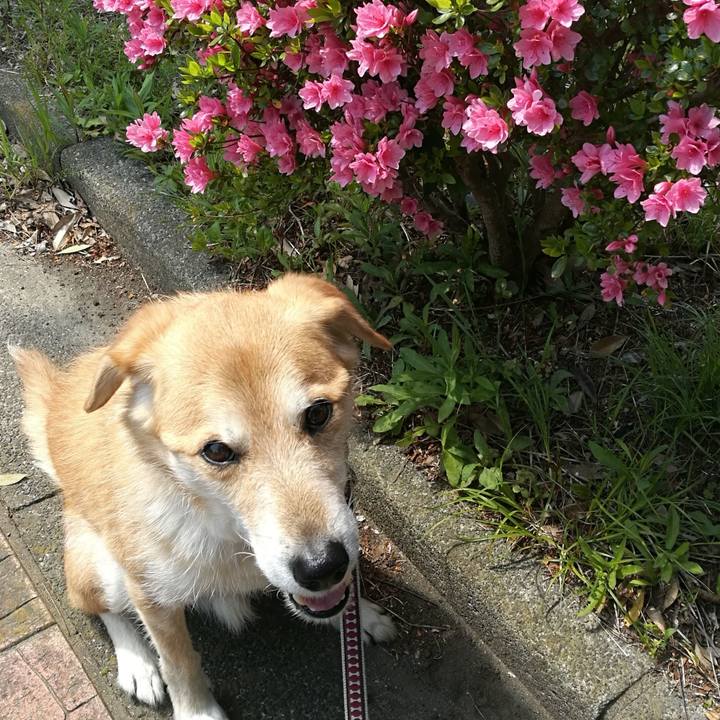 82a26e1a 4a48 4ff5 ad65 9108a0f47520 1523326745017