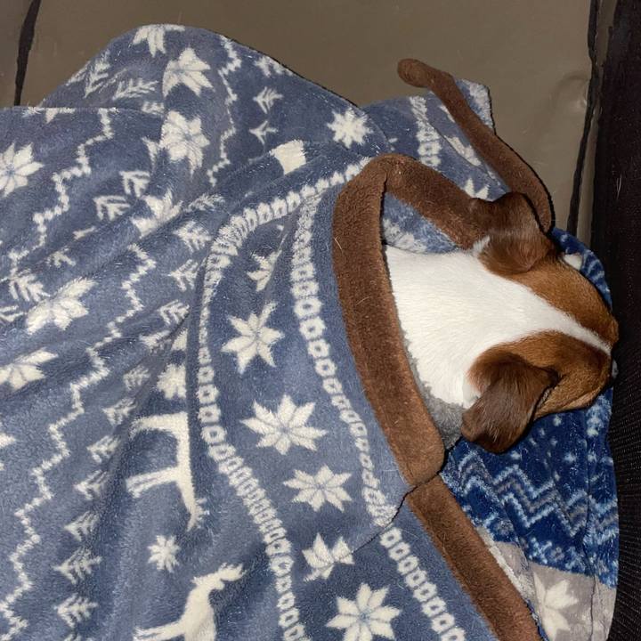 82a27d54 51db 4e6d aded be03f543c1b8 1642327258773