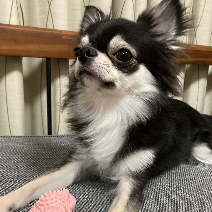 82a2d0be 65cb 4ce8 b520 0bde850b0b63 1634477395089