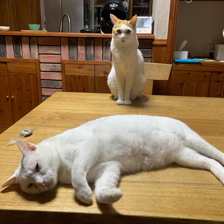 82a2dbe5 33e8 40d8 939d 83950ef233ac 1662903437850