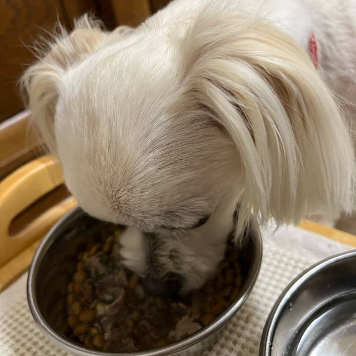 82a2e132 f350 4a84 9261 485532a35f34 1690623440622