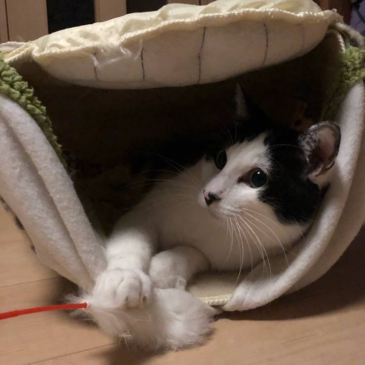 82a30f42 b04a 445c 9346 2014cec82cfa 1582916836559